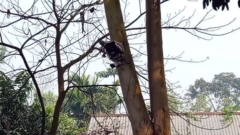 সীমান্তে বিএসএফ মসজিদের সামনে সিসি ক্যামেরা বসিয়েছে